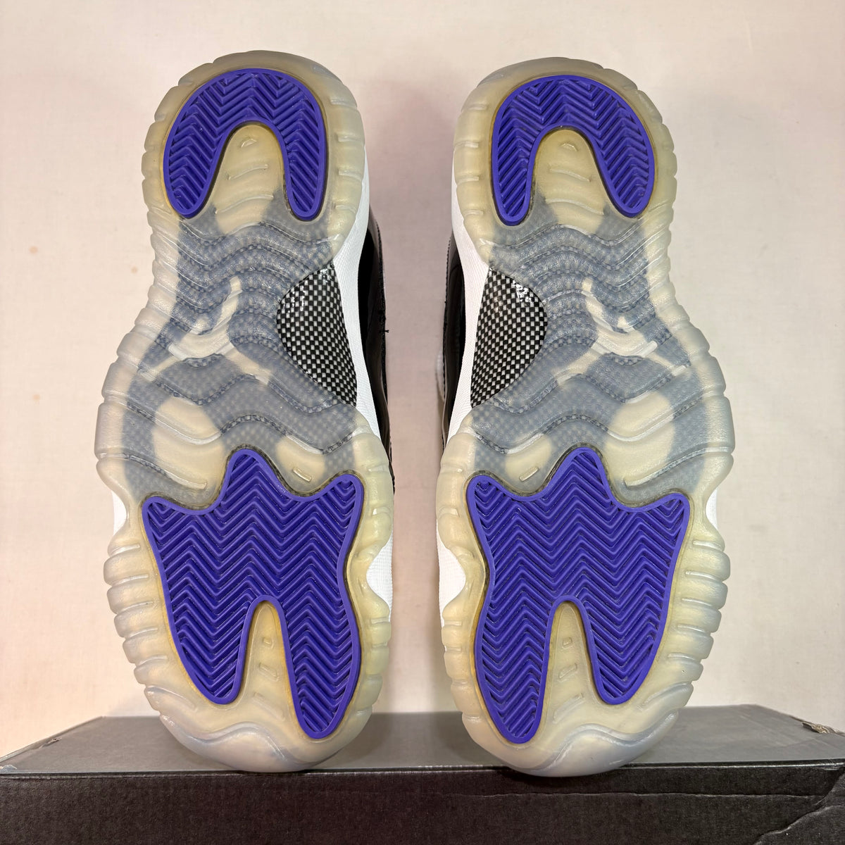 Jordan 11 Retro Concord (2018)