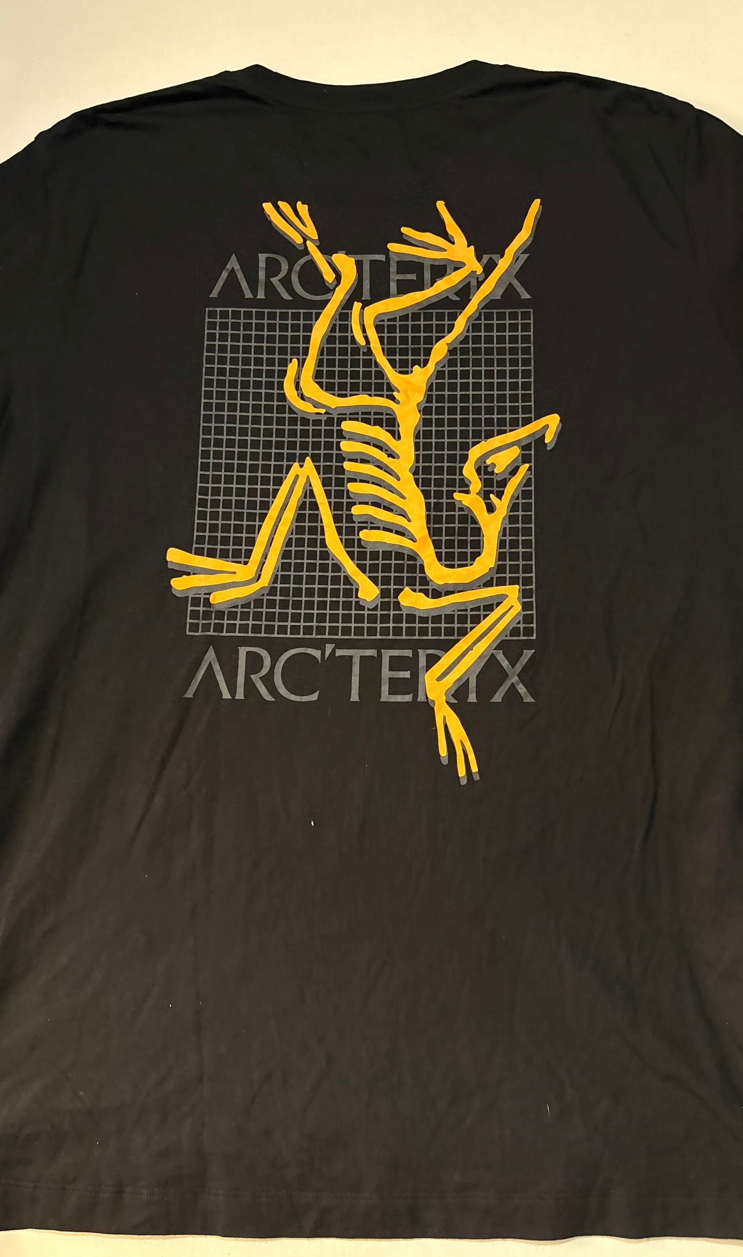 Arcteryx Kragg Bird Cotton Tee