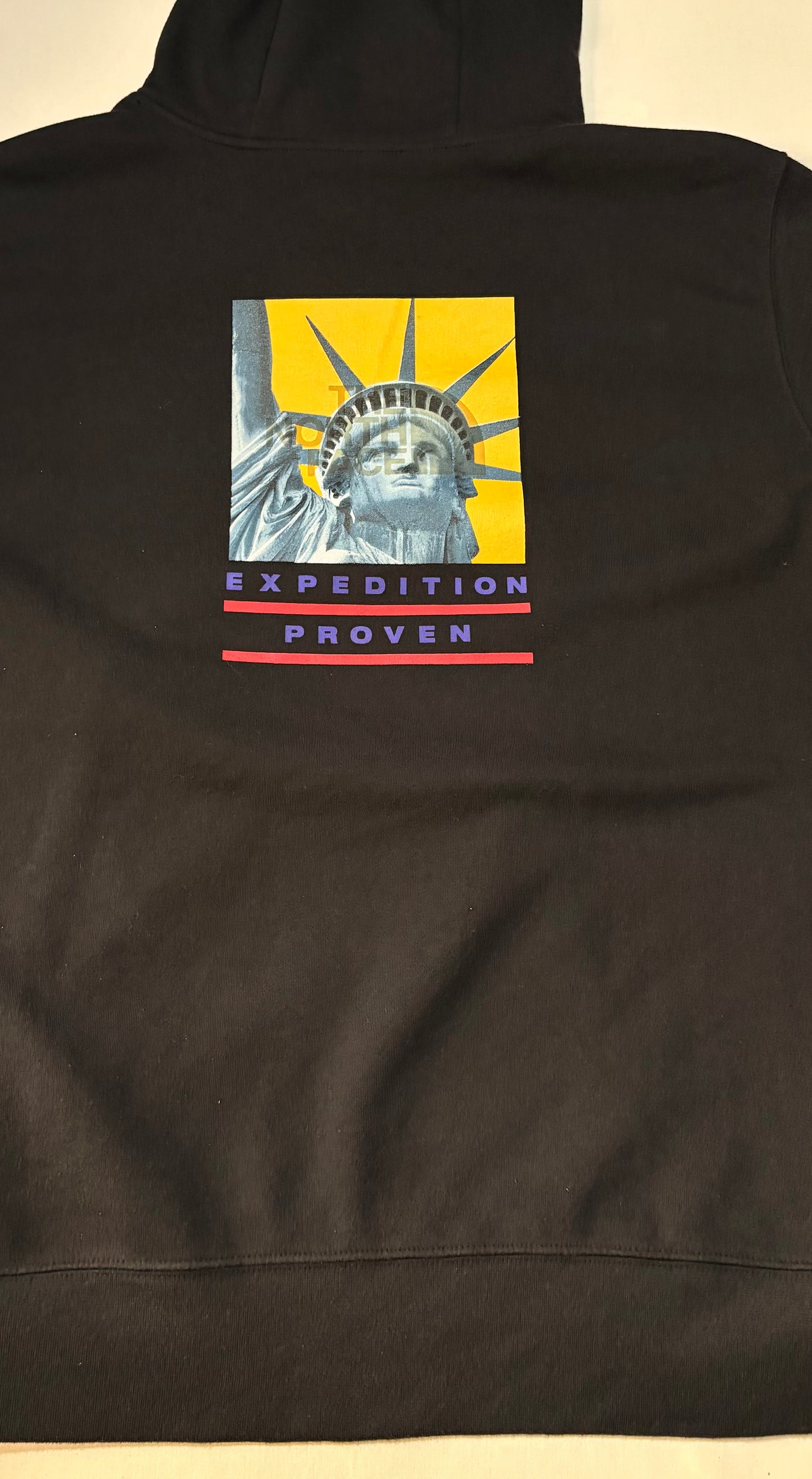 Supreme FW19 The North Face Statue of Liberty Hooded Sweatshirt U