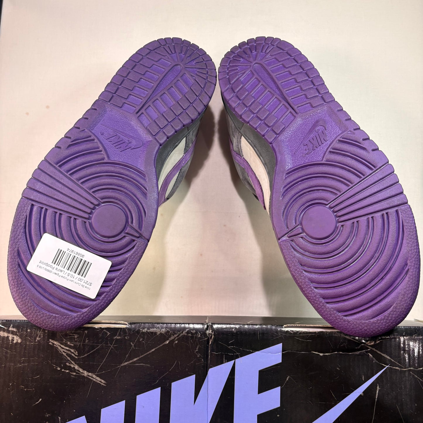Nike Sb Dunk Low Purple Pigeon (2006) U10.5