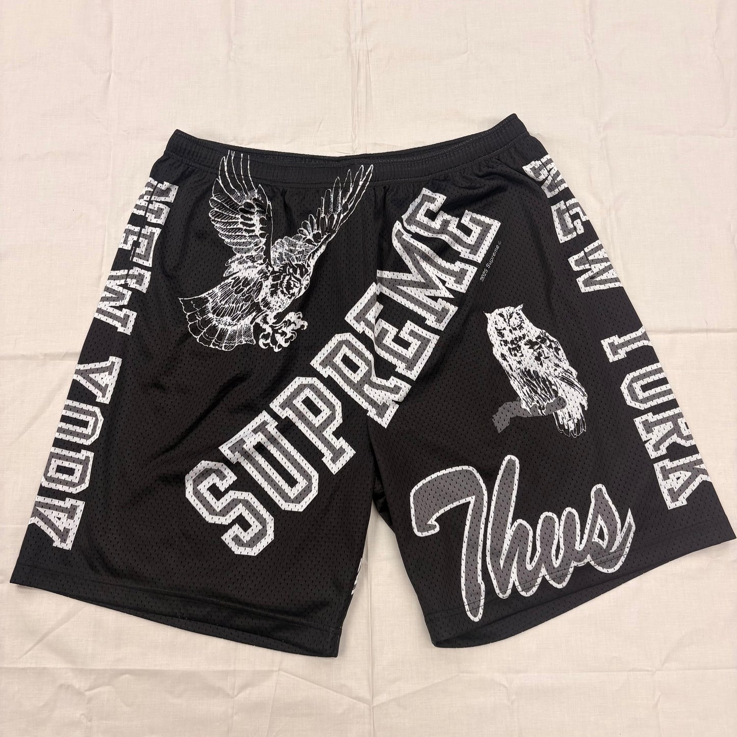 Supreme SS25 Varsity Mesh Short