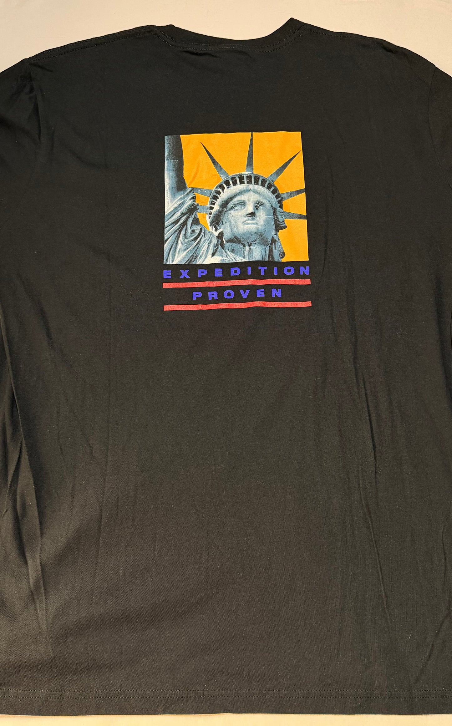 Supreme FW19 TNF Statue of Liberty Tee