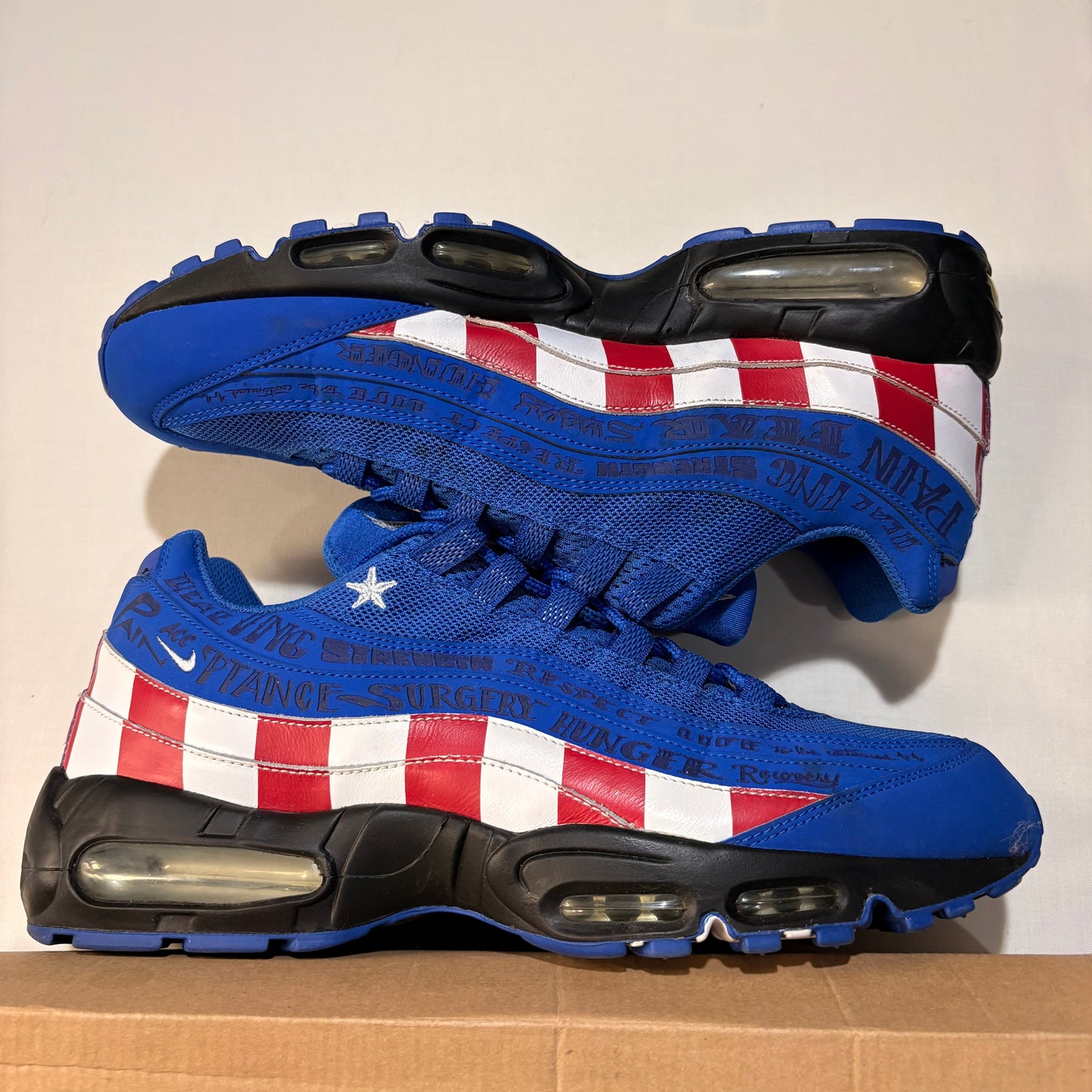 Nike Air Max 95 Doernbecher (2013)
