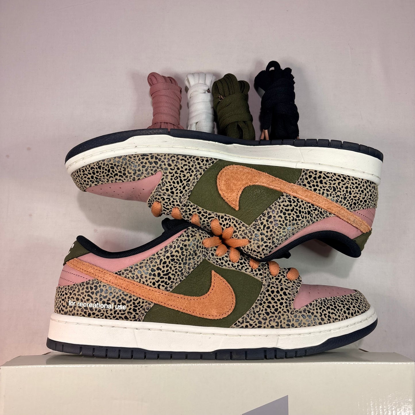 Nike Sb Dunk Low Arts Rec U12
