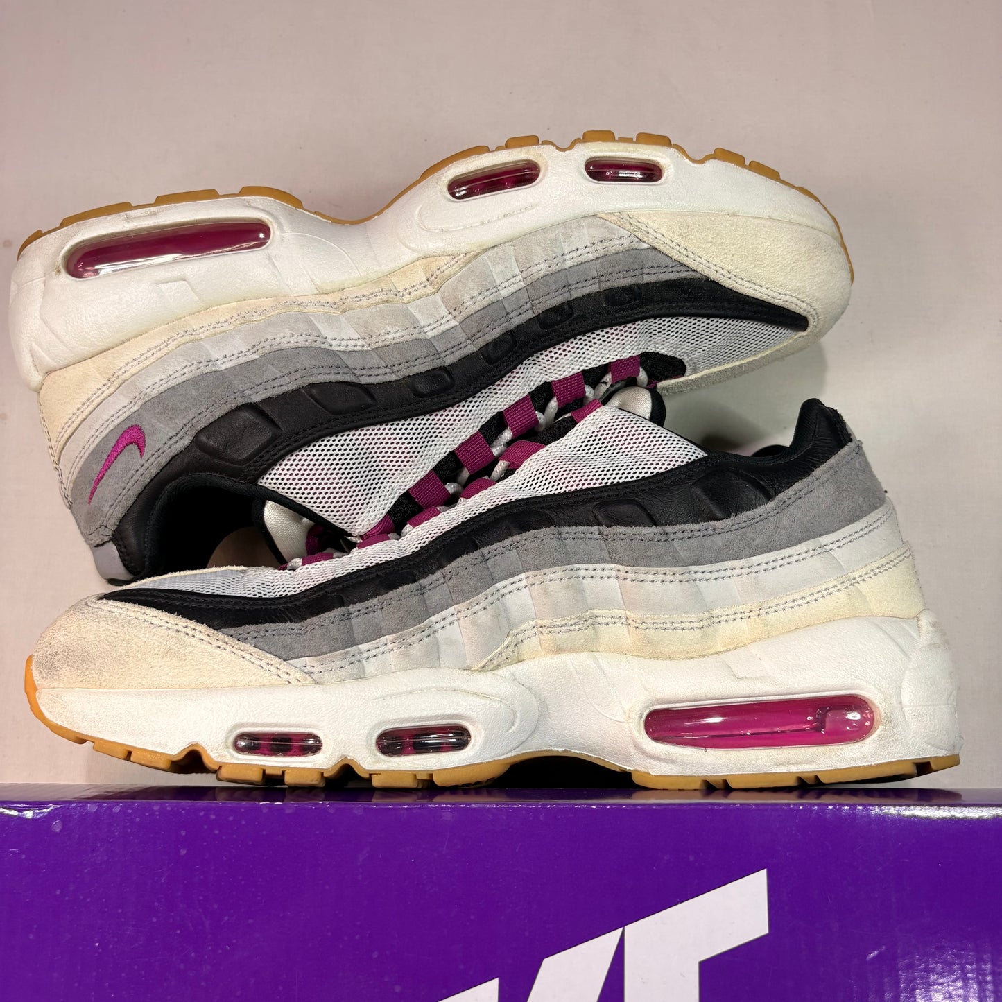 Nike Air Max 95 Sb Cactus Flower U10.5