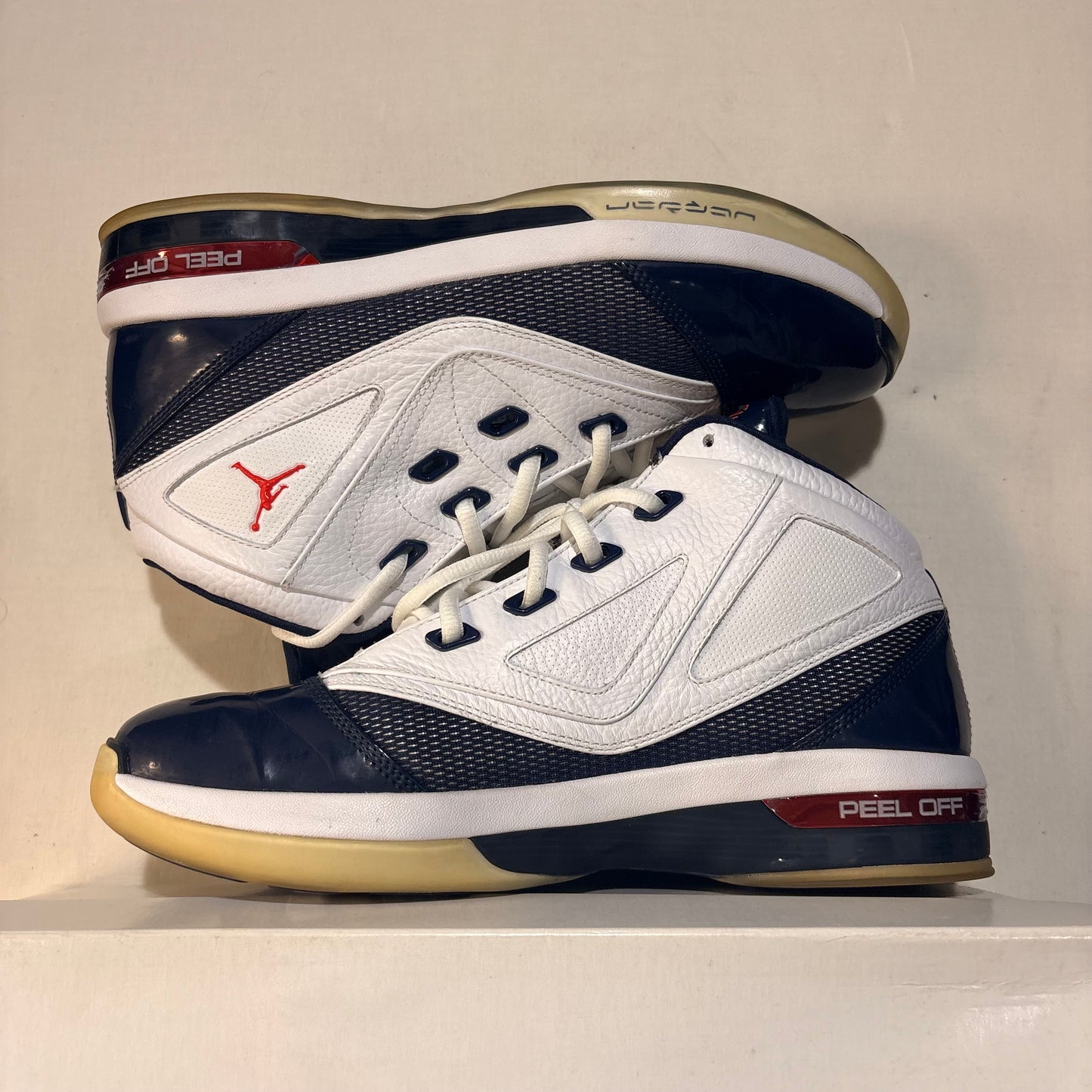 Jordan 16.5 Retro Gerarld Wallace PE U9