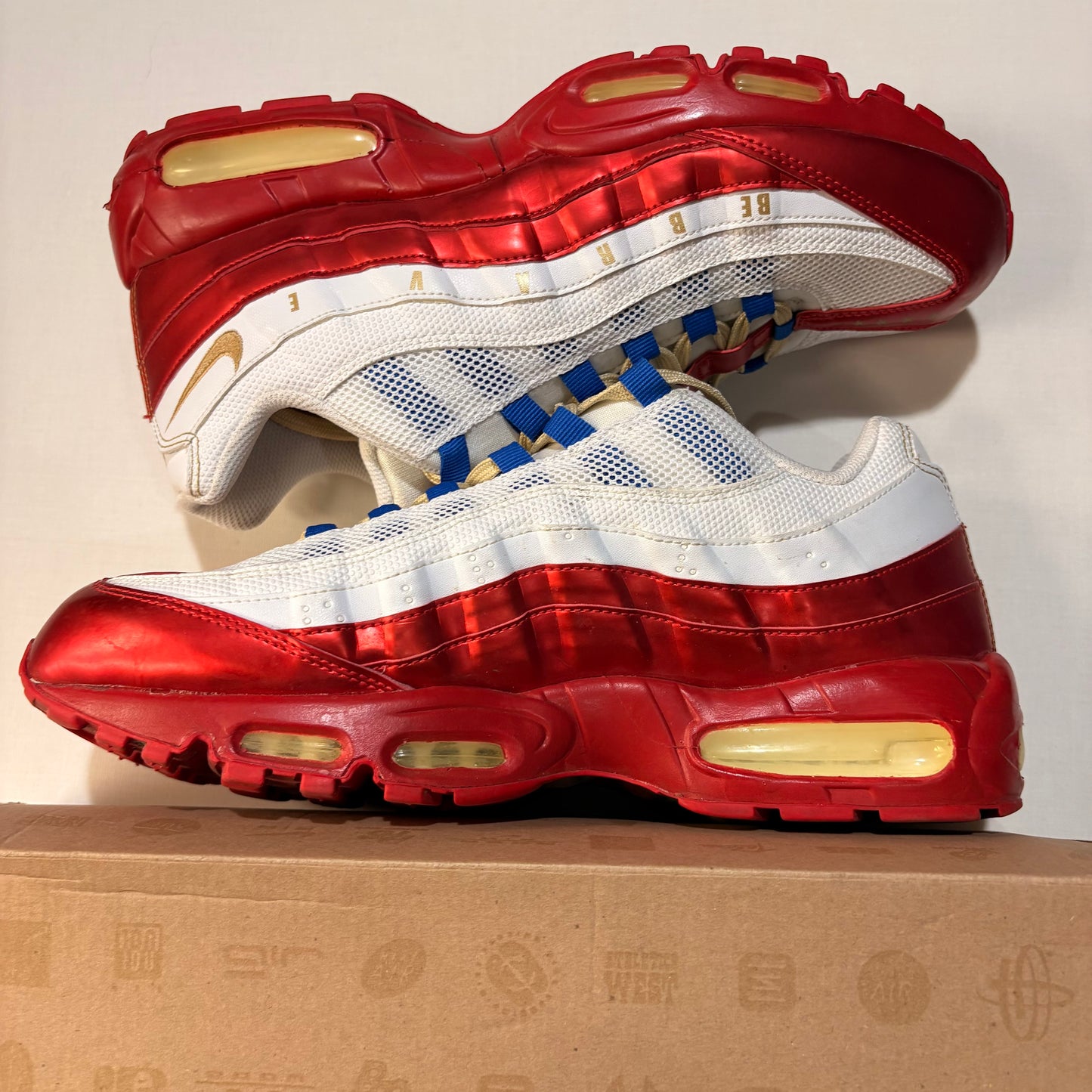 Nike Air Max 95 Doernbecher (2011)
