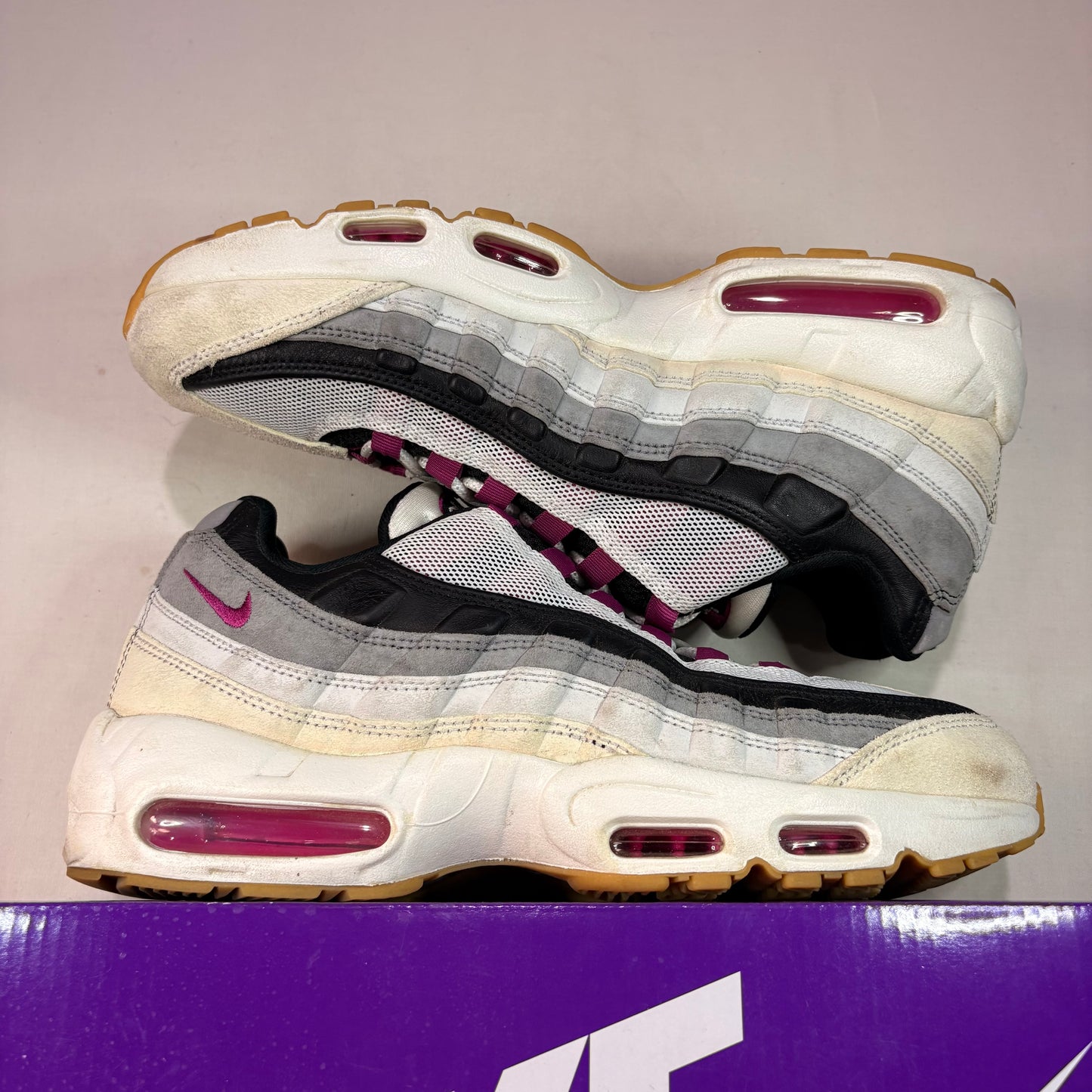 Nike Air Max 95 Sb Cactus Flower U10.5