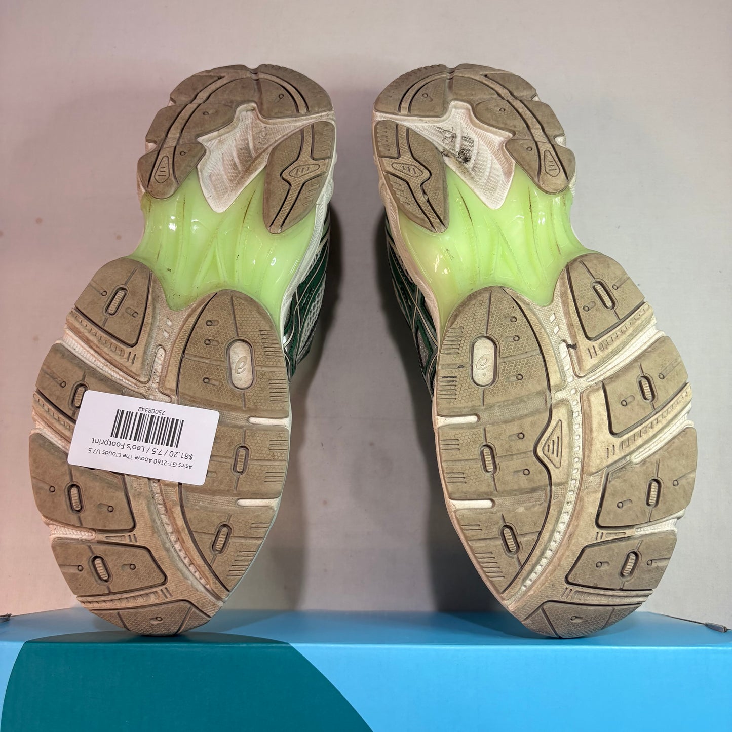 Asics GT-2160 Above The Clouds U7.5