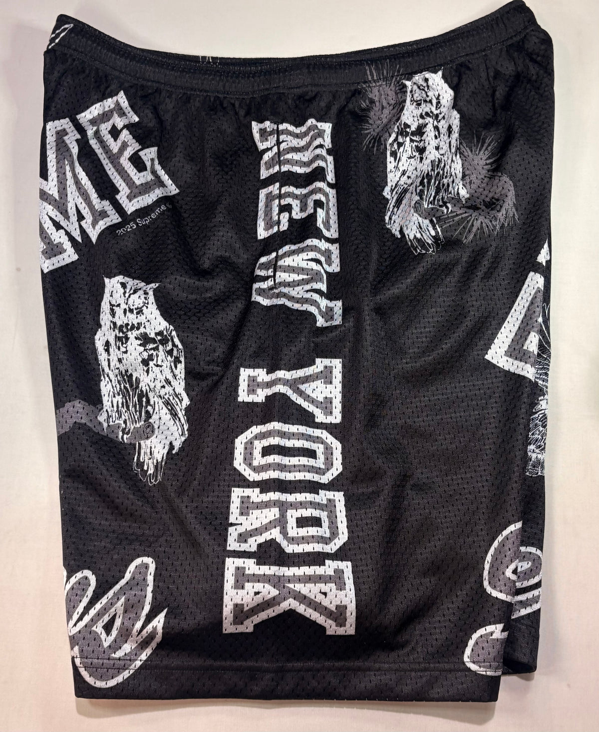 Supreme SS25 Varsity Mesh Short