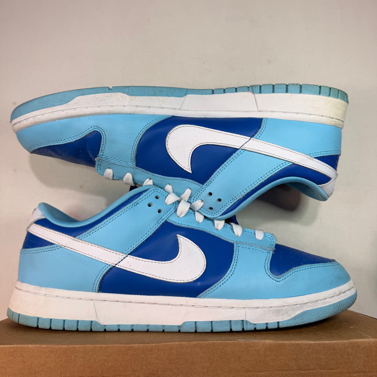 Nike Dunk Low Retro Argon (2022) U12