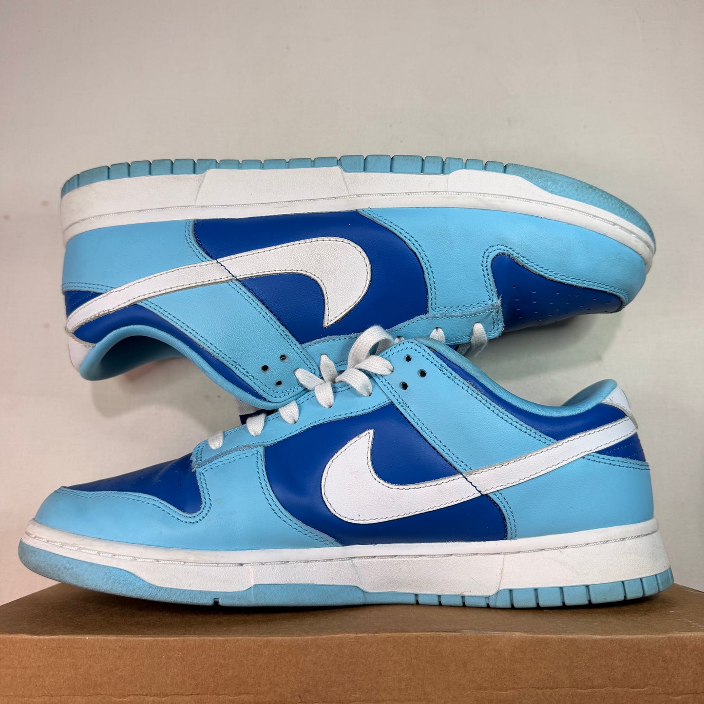 Nike Dunk Low Retro Argon (2022) U12