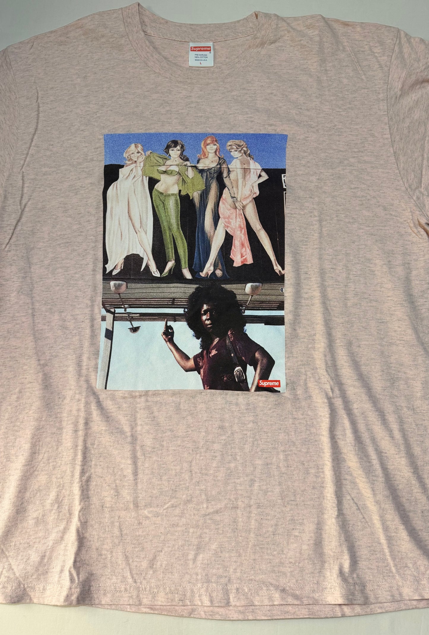 Supreme FW19 American Picture