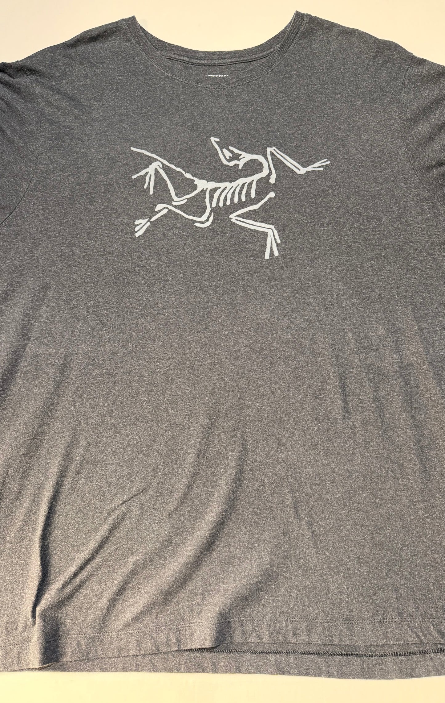 Arcteryx Logo Tee U