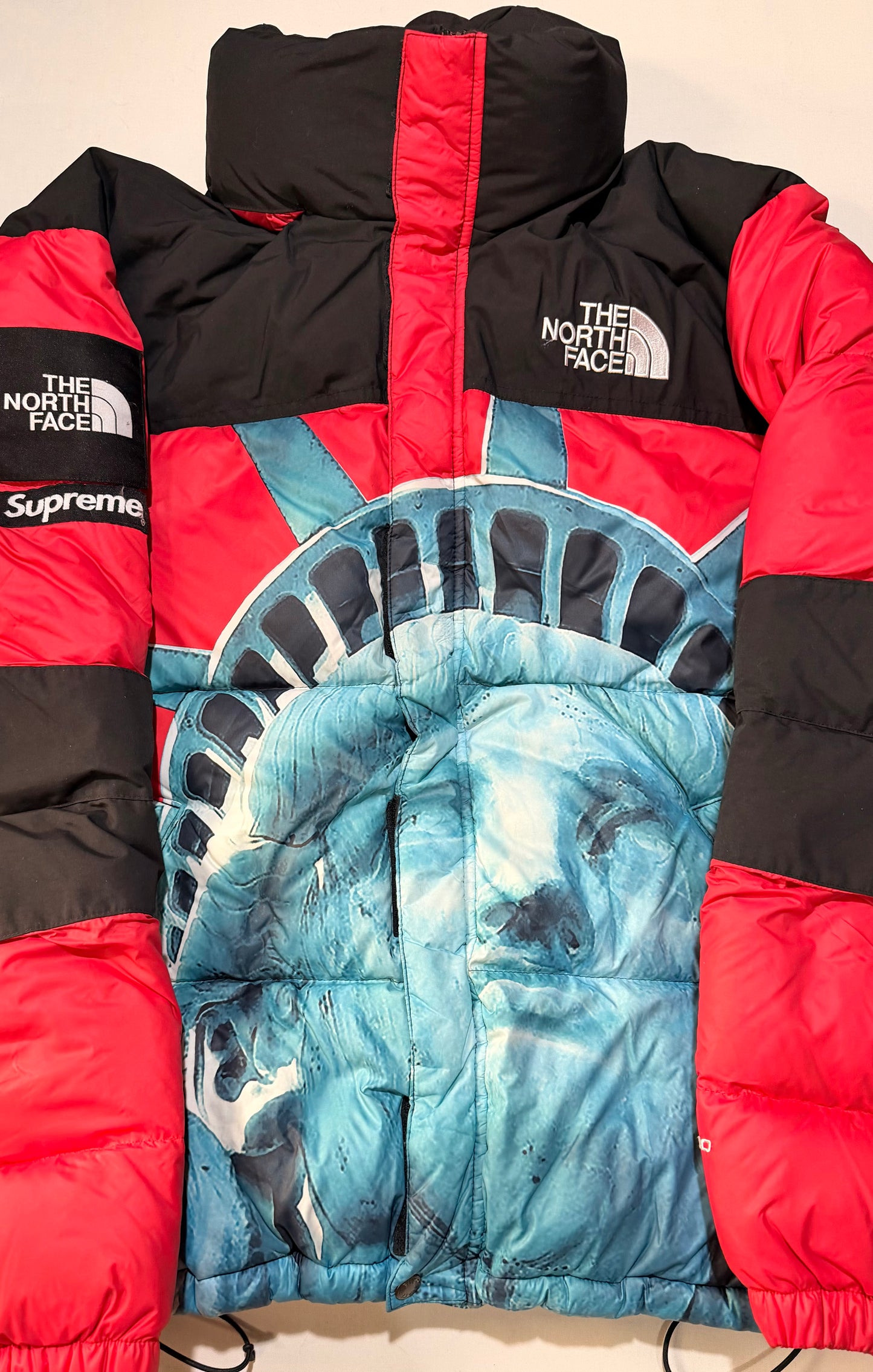 Supreme FW19 TNF Statue of Liberty Baltoro Jacket U